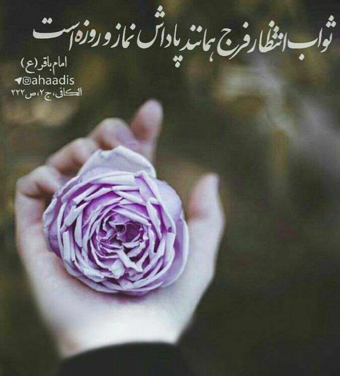 حدیثی از امام باقر در مورد ظهور امام زمان